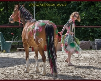 1-13JUIN 0826